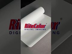 Giấy PP bóng tự dính
