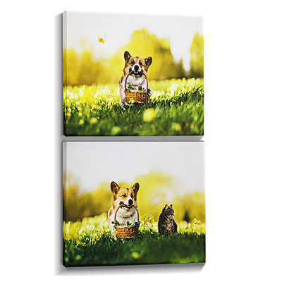 Cải thiện trang trí nhà của bạn với IMATEC S Inkjet Polyester Canvas For Custom Framed Prints
