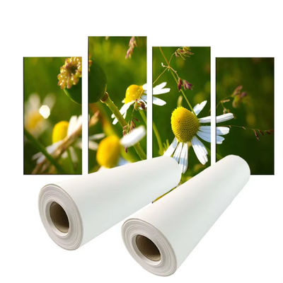 In sắc tố 280gsm Polyester Canvas Roll