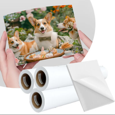 Giấy dán dán tự dán màu sắc 108gsm