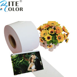 Nhựa tráng Minilab Photo Photo In phun kỹ thuật số cho Epson D700