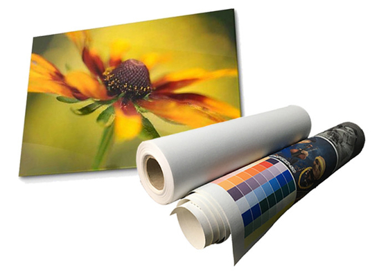Latex Matte không thấm nước Polyester Canvas Roll Eco Solvent 280gsm